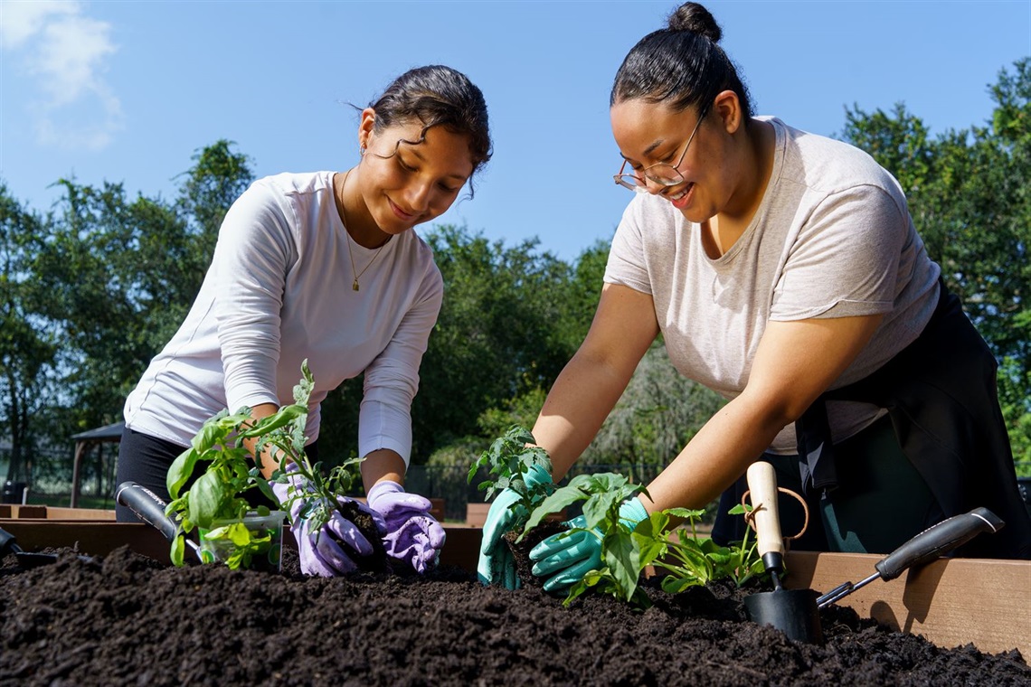 People planting at Quail Hollow Community Garden